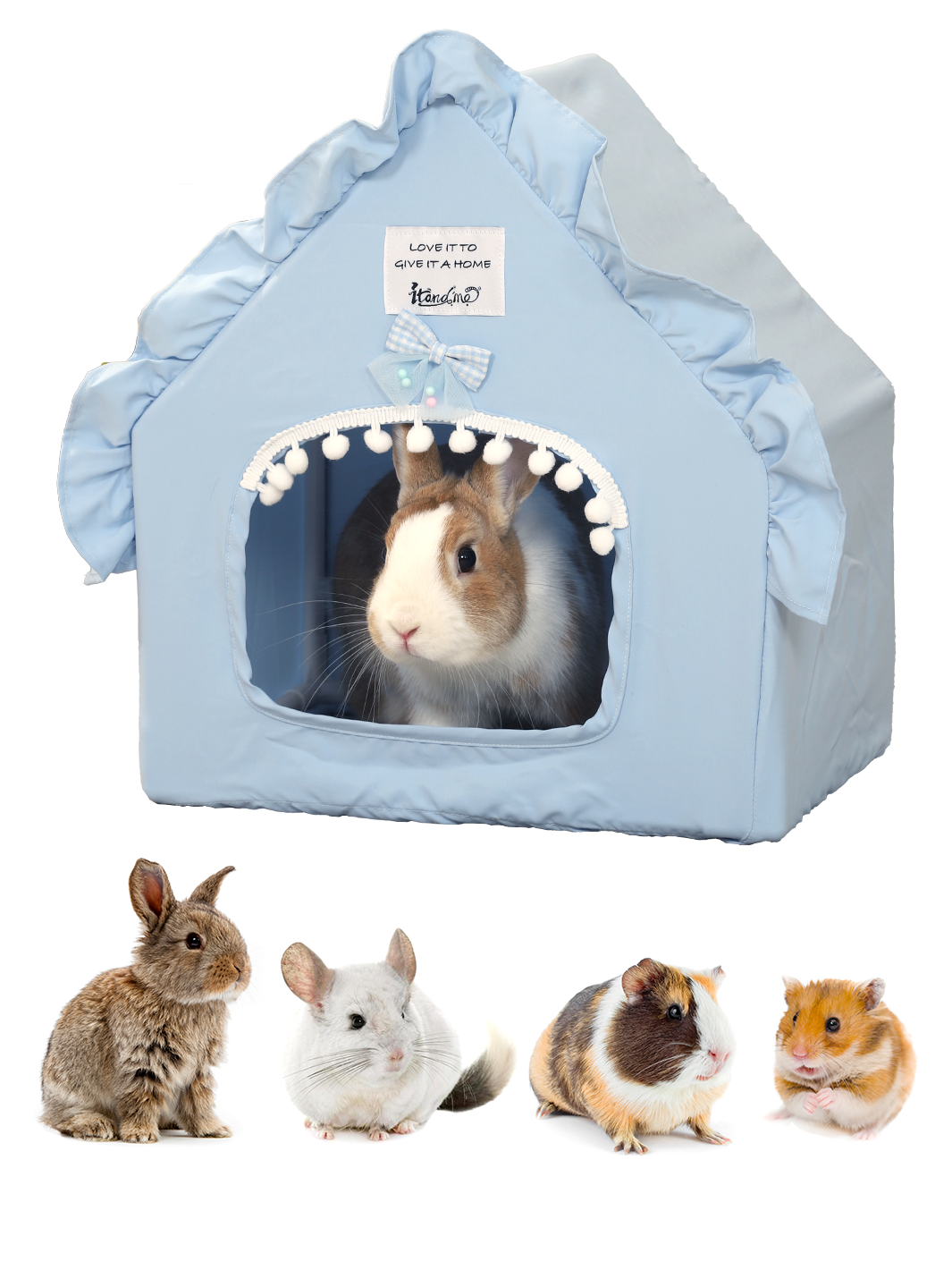 Small Pet Cartoon Style Hideout