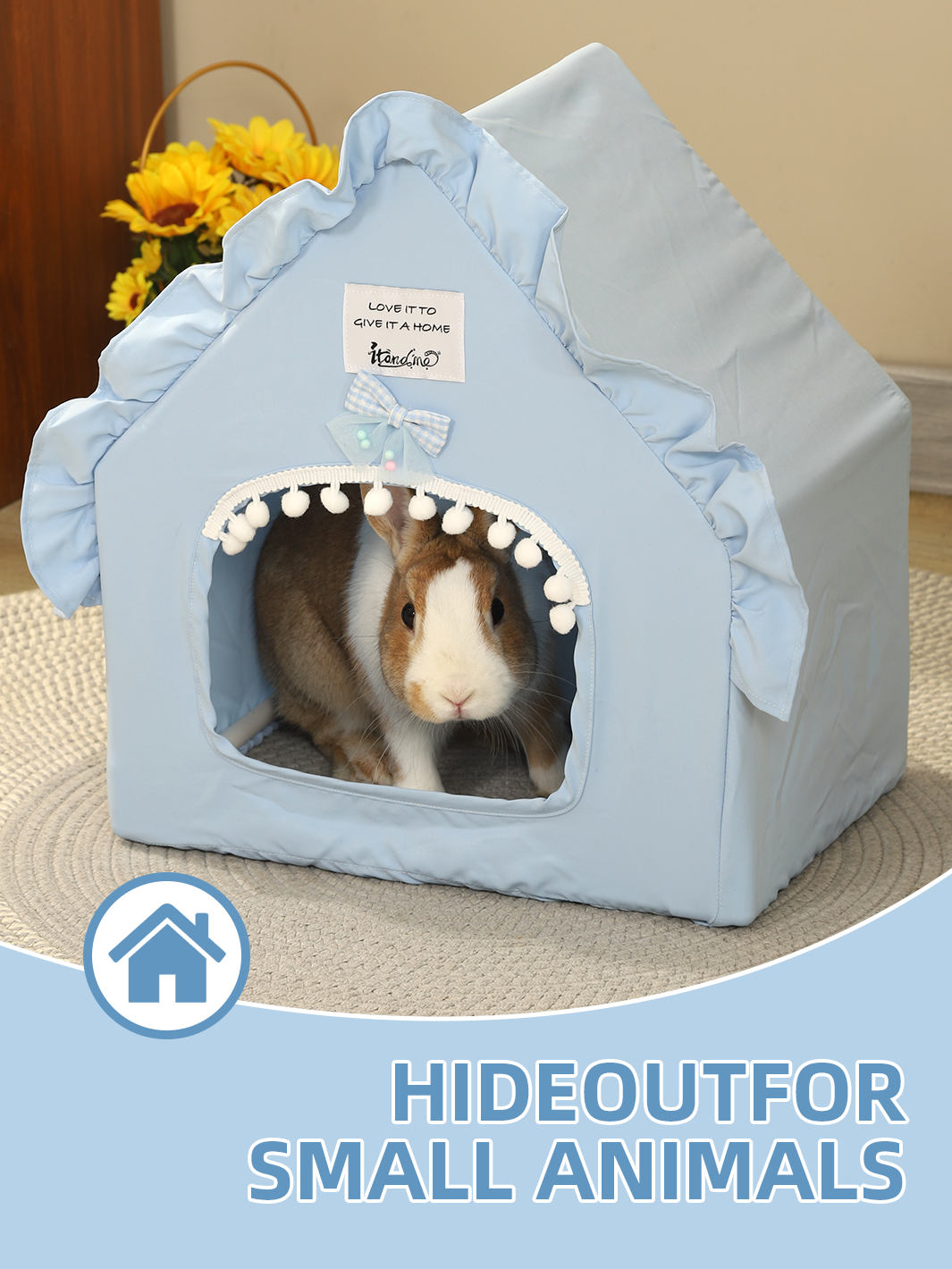 Small Pet Cartoon Style Hideout